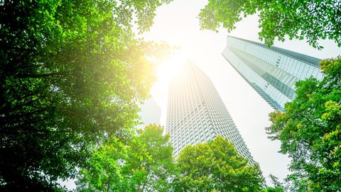 Worklife 2.0: The Effective Collective – Till derecognition do us part