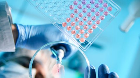 New EU Framework for In Vitro Diagnostic Medical Devices – are you “IVDR ready”?