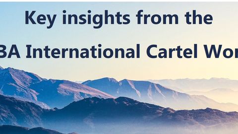 The 14th ABA International Cartel Workshop – current focus areas of cartel enforcement