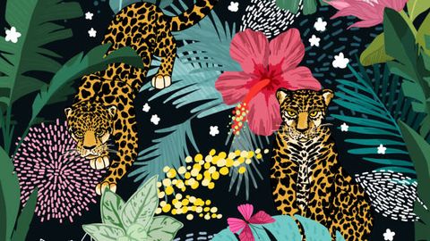 The UPC case finder: Beware of the Leopard