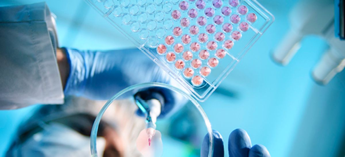 New EU Framework for In Vitro Diagnostic Medical Devices are you