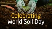 World Soil Day: Why Sustainable Agriculture Starts Beneath Our Feet