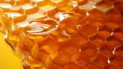 Nine in ten honey samples from UK retailers fail authenticity test