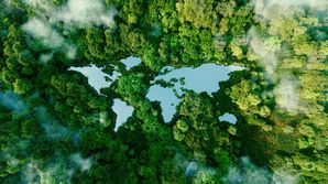 The Directive on Empowering Consumers for the Green Transition: Implementation in selected EU member states