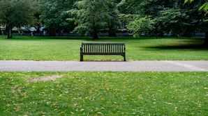 IOSCO issues final report on ESG indices as benchmarks