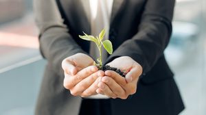 What if you hide a green claim in a brand?