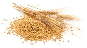 Jumping on the fibre maxing trend? Bear in mind the rules on nutrition claims!
