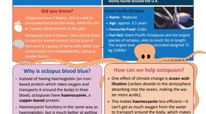 A cephalopod .pdf, as featured media