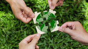 ACM starts enforcement of sustainability claims in food sector
