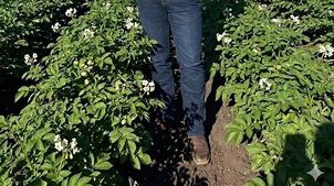 Ohalo® Lands Another Agriculture Industry Veteran, Appointing Rob Dunlop as VP, Global Commercial