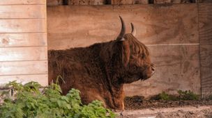 Synergistically re-engineer excellent data via world-class best practices.