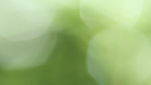 ALERT: US DHHS Publishes Full Report Detailing Recommendation to Move Cannabis from Schedule I to III
