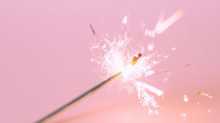 Dutch Supreme Court on Acquiescence: Does Presentation of a Trade Mark Matter?