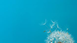 EU design reform: Growing divergence from the UK