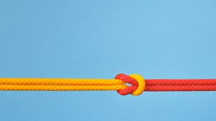 Points of hue: Court of Appeal upholds IPEC outcome on colourful figurative mark