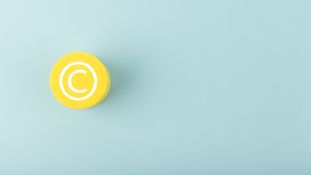 Nothing “corny” about it: the Court of Rome protects well-known trade mark from cybersquatters