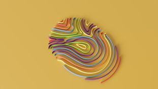 The Netherlands: New EU Withdrawal Button Requirement and CJEU Referral on Order Button Compliance