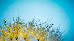 Quantum technologies in Life Sciences