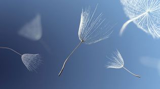 Preparation not prediction: Legal moves that build resilience