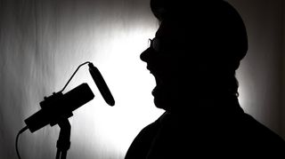 eLeniency efficiency