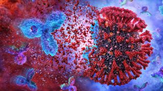 Is Covid-19 making hopes of UK adequacy fade further? Privacy in a pandemic