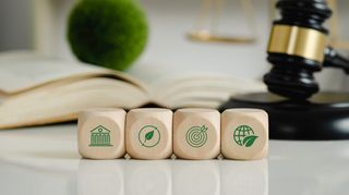 FSU Center for Environmental, Energy & Land Use Law Spotlights Kim Hoffman