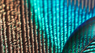 Extension of the UK Transition Plan Taskforce's mandate