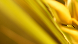 FCA publishes its Policy Statement on the Overseas Funds Regime