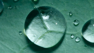 Best laid (economic crime) plans: the usual government rhetoric or an actual step forward?