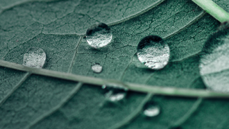 The International Anti-Corruption Prosecutorial Taskforce – capitalising on America’s stutter?