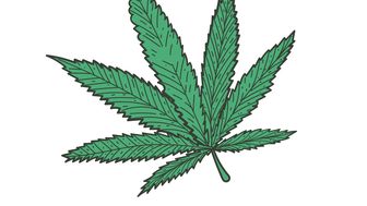 The High Bar for Weed Storage: NAD Evaluates the Claims