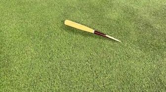 Whose bat is it anyway?