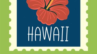 Hawaii's Charitable Platform Law Now In Effect