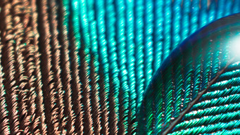 Covid-19 and UK immigration: Home Office temporarily relaxes right to work check procedure