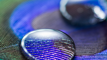 Are ESG ratings reliable? The next wave of ESG regulations