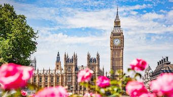 The Procurement Act – 6 months on…