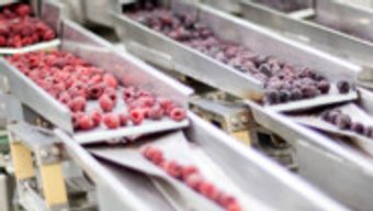 Yes, You Can Patent Food Products!