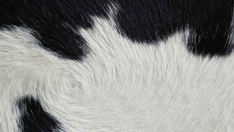 No More ‘Close Enough’ Experts: Litigating Reliability After the Rule Amendments