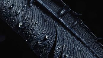 The Tax Debate Isn’t Over: What Could Come Next