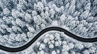 Customs Cuts Contractors a Break – DCMA Certificates Are Sufficient for Supplies to Qualify as Emergency War Materials for Duty-Free Entry