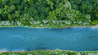 Hot Topics in Litigation and Investigations for the Life Sciences Industry