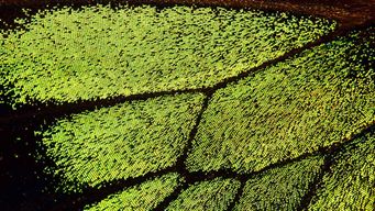 Case Alert: Ohio Supreme Court announces favorable new rules for discoverability of attorney-client privileged materials in insurer claim files