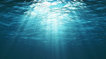 When the Levy Breaks: A Surge of Consumer Class Actions  Pursue IEEPA Tariff Expenses from Businesses