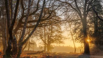 Why September almost instantly feels like autumn
