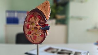 Hope Watson Nominated as National Kidney Foundation's 2026 Kidney Hero of the Year