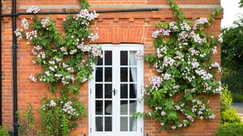 test approval notification 3