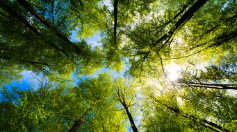 FCC Proposes Major Environmental Review Changes for Wireless and Satellite Projects