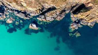 British nationals with dual nationality