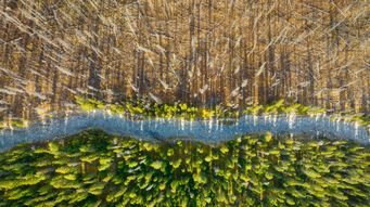 Environmental Weekly News Round Up – 5 January 2024