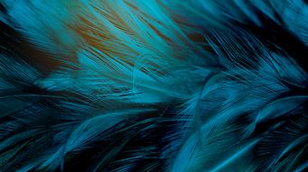 Treasury discontinues work on a UK Green Taxonomy